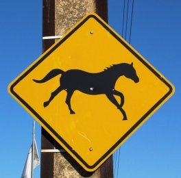 Road sign near Morphettville racecourse showing black racehorse on yellow background