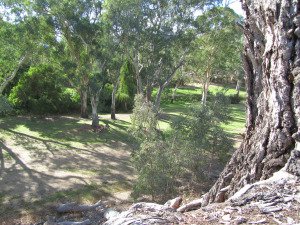 Taken a the site of the tree (on the right you can see the tree)