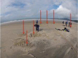 Figure 4: Red arrows indicating points of interest dug for material. Photo facing SE, North Shepherd Bay (Kurt Bennett, 12 July 2013).
