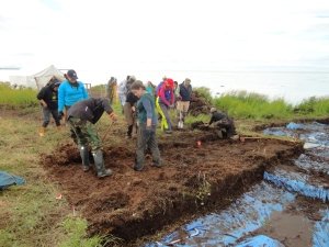 De-sodding the site. Photo: Celeste Jordan 2013 