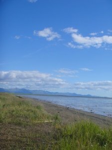 A glorious day on site. Photo: Celeste Jordan 2013 