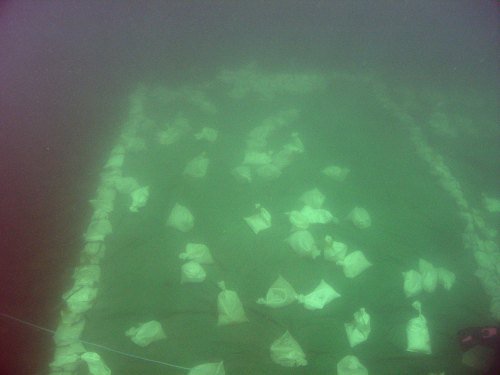 A small section of Clarence reburial .... Image Jon Carpenter