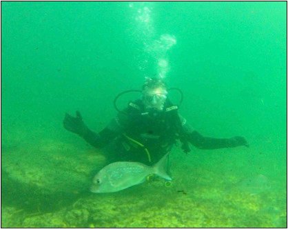 Figure 1. A SCUBA diver fluttering about underwater (author)
