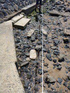 Figure 1: Remains of the timber slipway retaining wall, facing northwest. Photo taken by Peta Straiton. 