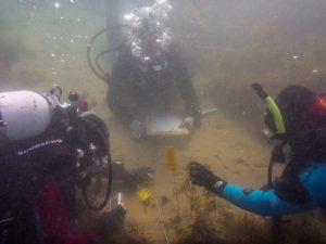 Figure 2: Peta Straiton, photography, Richard Pauley recording with Julie Mushynsky. Photo taken by Jonathan Benjamin. 