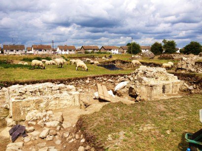 Partial view of the Black Friary site, sheep included!
