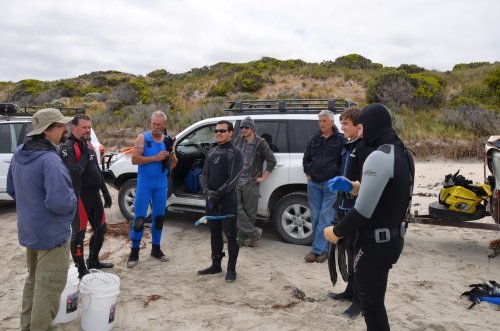 Figure 5. Survey team planning the swim line search. Courtesy of Anthony Virag.