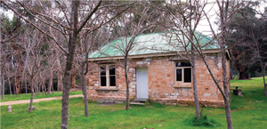 Curnow's Cottage, Bundaleer Forest